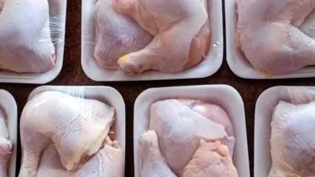 تراجع الأسعار.. كيلو دواجن الأقصر الأبيض والبلدي 120 جنيهاً